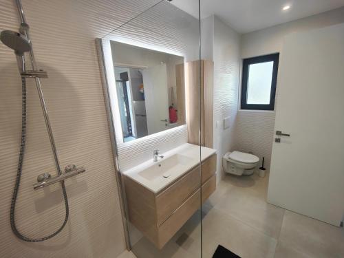 une salle de bain avec un lavabo, une douche et des toilettes dans l'établissement studio la mimosette, à Cannes