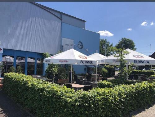 Zahrada ubytování Frisco