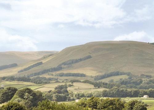 a green hill with trees in the foreground at Bainbridge Ings in Hawes