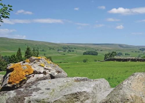 a group of rocks in a green field at Bainbridge Ings in Hawes