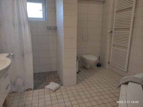 a bathroom with a toilet and a sink and a shower at Grosse 3 Zimmerwohnung direkt an der schweizer Grenzen in Gottmadingen