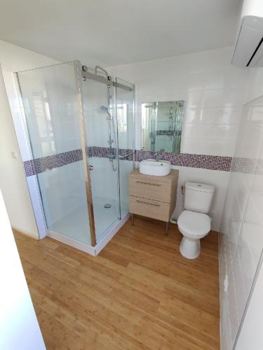 une salle de bain avec une douche, des toilettes et un lavabo dans l'établissement Sete Villa familiale avec piscine en Bord de mer, à Sète