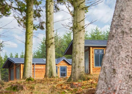 a log cabin in the woods with trees at Thirlestane Woodland Lodges in Lauder