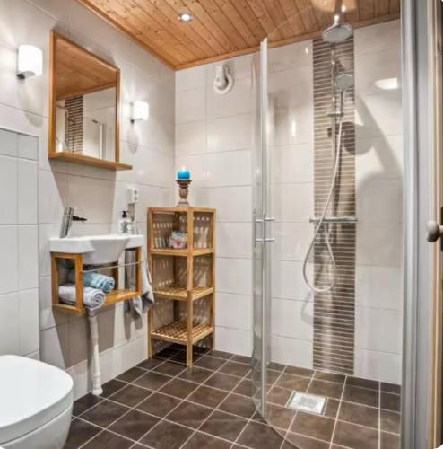 a bathroom with a shower and a toilet and a sink at Casa Kvaløya in Tromsø