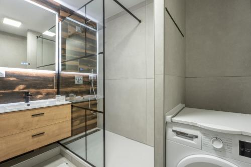 a bathroom with a washing machine and a sink at Beautiful apartment for 6 people, near Basel, parking in Huningue