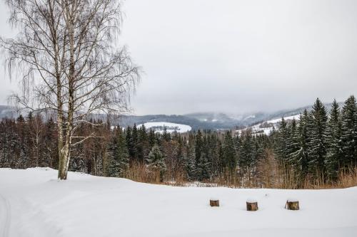 a snow covered field with a tree in the background at Aparthotel Panorama in Deštné v Orlických horách