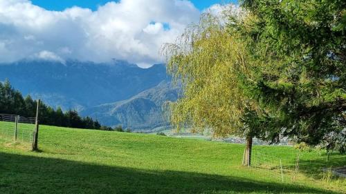 a tree in a field with mountains in the background at Ferienhaus mit Bergblick auf die Kremsmauer - ruhig und hundefreundlich in Atzeldorf