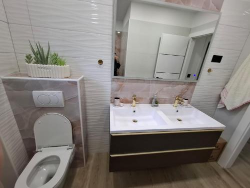 a bathroom with a toilet and a sink and a toilet at Apartman Ladini Lana in Starigrad-Paklenica