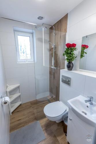 a white bathroom with a toilet and a sink at Apartament Mickiewicza in Rumia