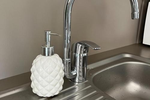 - un évier de cuisine avec un vase installé à côté d'un robinet dans l'établissement Coin de Paradis Lac et ocean Sans vis à vis, à Hourtin