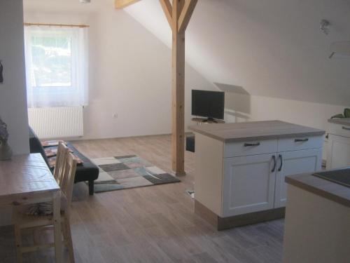 Zimmer mit Küche und Wohnzimmer in der Unterkunft Apartmán u Růženky in Veselí nad Lužnicí