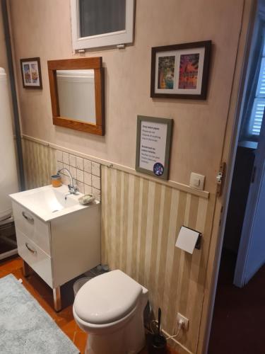 une salle de bain avec toilettes, lavabo et miroir dans l'établissement Maison Carrasserie, à Limoux