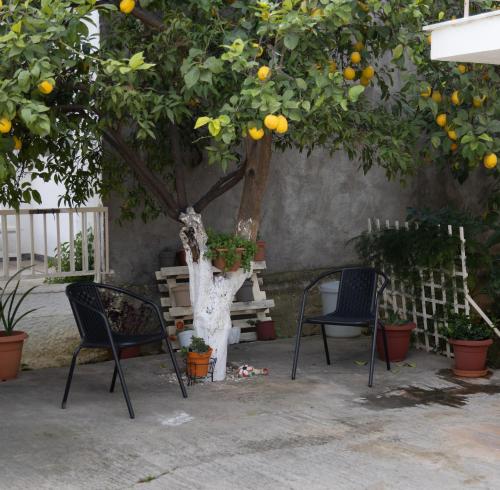 two chairs and an orange tree in a yard at Poulakis House in Asini