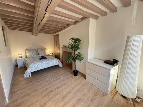 une chambre avec un lit et une plante en pot dans l'établissement Maison 2ch - Netflix - Fléchettes - Hyper centre, à Douai