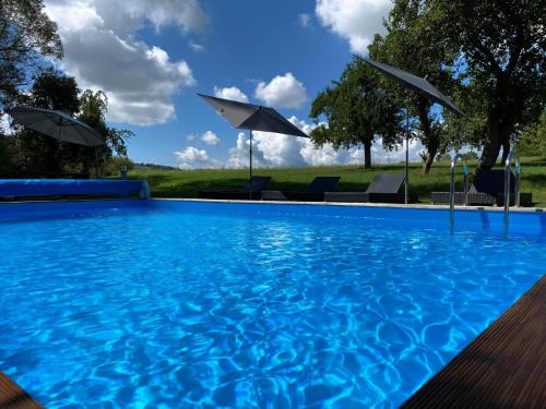einen Pool mit 2 Sonnenschirmen und Stühlen in der Unterkunft Sportives Ökologisches Lifestyle-Ferienhaus mit großem Außenpool, Sauna und Fitnessbereich in Donaueschingen