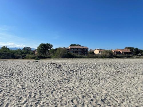 Les Bulles de Mona Marina Corsa