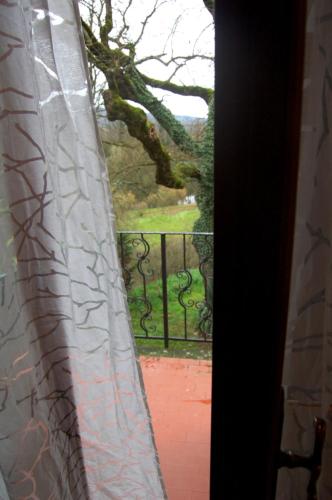 a window with a view of a tree at Borgo Nuovo San Martino in Ambra