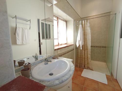 une salle de bain avec un lavabo et une douche dans l'établissement La maison au bout de l'allée, à Carbes