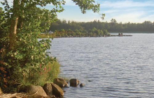 a view of a lake with a tree and rocks at Amazing Home In Ljungby With Wifi in Bolmstad