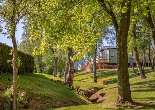 a park with trees and a house in the background at Wild Rose Holiday Park in Colby