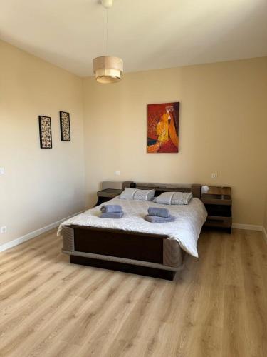 une chambre avec un lit et un tableau au mur dans l'établissement Ô mon beau refuge T2 - 75m2, à Aix-les-Bains