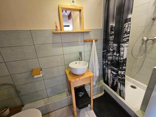 une salle de bain avec un lavabo et une douche dans l'établissement Gîte Les Mirabelliers L'Escapade Des Flamants Roses, à Mireval