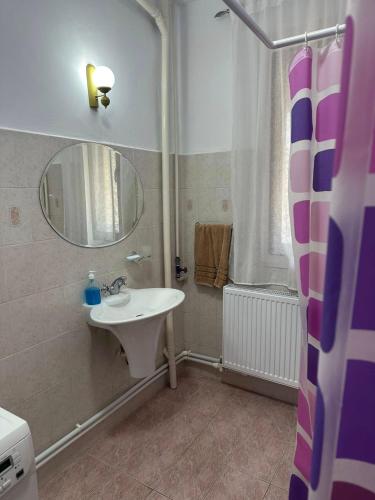 a bathroom with a sink and a mirror at La Colonelu in Sărata-Monteoru