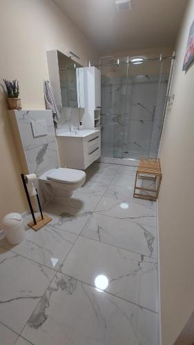 a bathroom with a toilet and a glass shower at Apartment Modrić Zadar II in Zadar