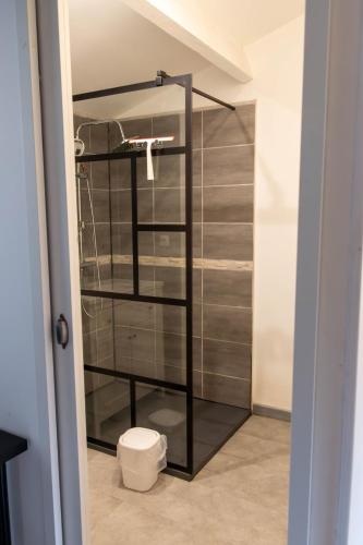 La salle de bains est pourvue d'une cabine de douche en verre et de toilettes. dans l'établissement studio proche zenith et clinique, à Saint-Herblain
