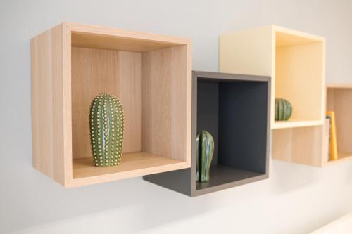 a cactus sits inside a wooden cabinet with shelves at 7nights Apartments Dominikánské naměstí in Brno
