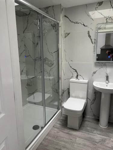 a bathroom with a shower and a toilet and a sink at Fun 7 holidays entire flat in Huntingdon