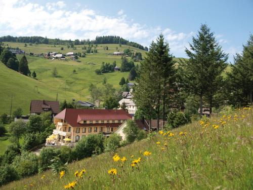 Příroda nedaleko hotelu