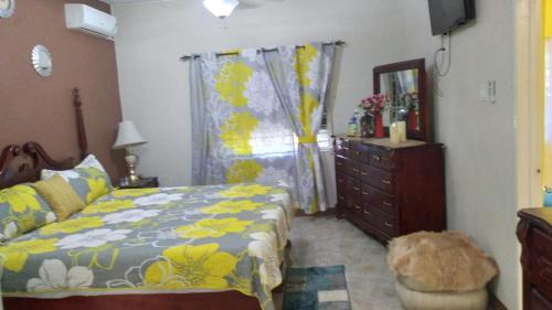 ein Schlafzimmer mit einem Bett, einer Kommode und einem Fenster in der Unterkunft Kingston Oasis - Private House with Mountain Views in Four Mile
