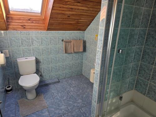 a bathroom with a toilet and a shower at Penzión Pegas in Bratislava