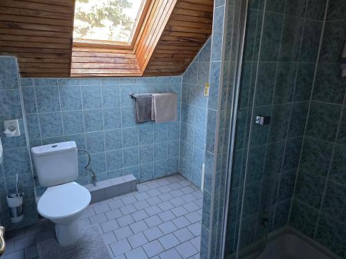 a bathroom with a toilet and a shower at Penzión Pegas in Bratislava