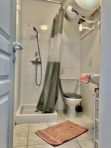 une salle de bain avec douche et toilettes dans l'établissement studio cosy avec vue panoramique, à Luri