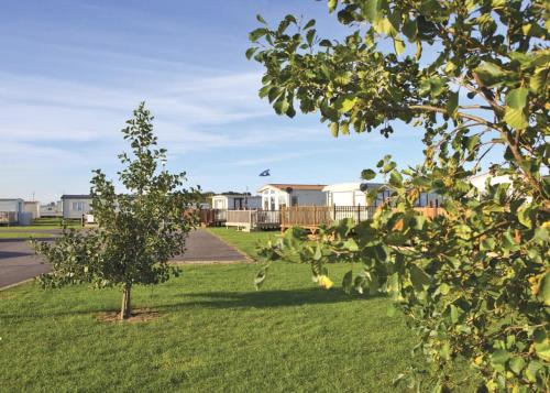 a tree in a yard with houses in the background at The Chase Holiday Park in Addlethorpe