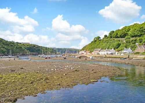a beach with a flock of birds on the shore at Fishguard Holiday Park in Pembrokeshire