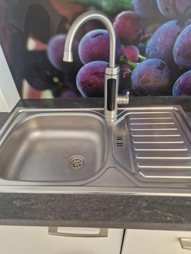 a stainless steel kitchen sink with a picture of grapes at Auszeit am Weinhof in Loschenthal