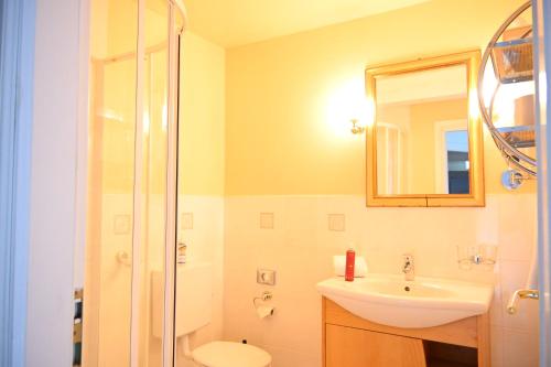 a bathroom with a sink and a toilet and a shower at Landsitzhotel und Seminarium Peterhof in Hodorf