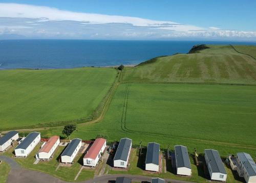 a group of trucks parked in a field next to the ocean at Heads Of Ayr Holiday Park in Ayr