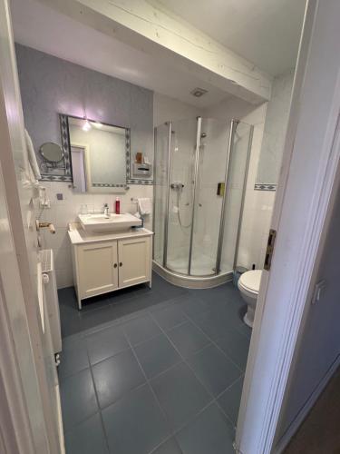 a bathroom with a shower and a sink and a toilet at Landsitzhotel und Seminarium Peterhof in Hodorf