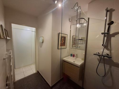 une salle de bain avec douche et lavabo dans l'établissement Entre plage et forêt, à La Baule
