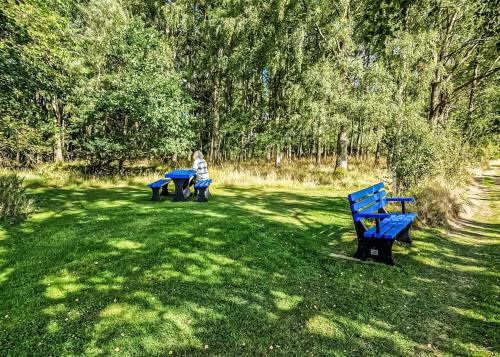 two blue benches sitting in a field with trees at Nethercraig Holiday Park in Alyth