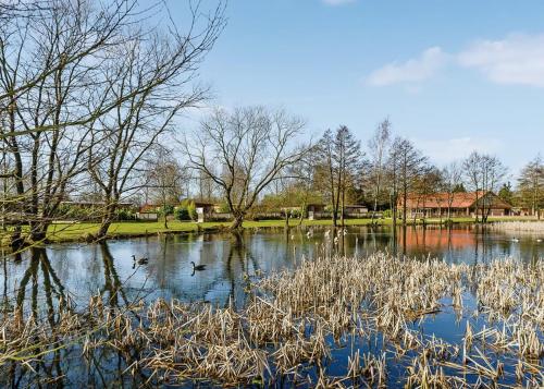 a body of water with ducks swimming in it at Pickering Lodges in Pickering