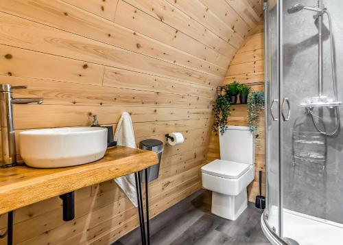a bathroom with a sink and a toilet and a shower at Peacock Lake Glamping in East Bridgford