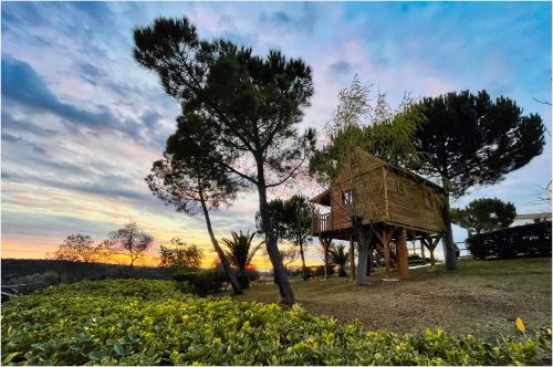 una casa sull'albero in cima a una collina di Cortijo señora de las Angustias 2 ad Alanís
