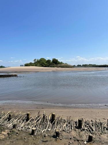 a beach with a bunch of sticks in the water at Gästehaus Weserblick am Weser-Sandstrand in Berne