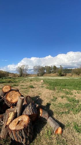 a pile of logs sitting in a field at Vians Olympia Resort in Olympia