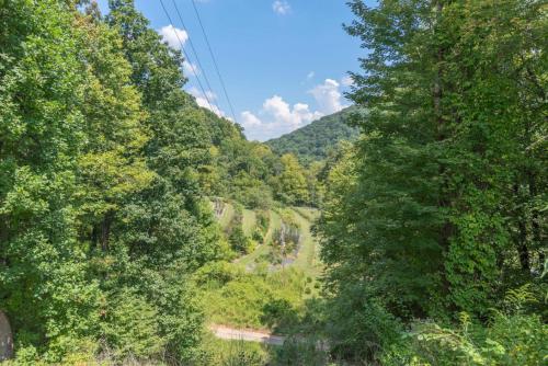 a view of a valley in the mountains with trees at Secluded Cabin with Quality Furnishing and Hot Tub in Leicester